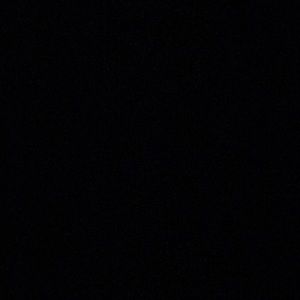 Meet your Posher, Frida